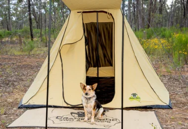 Instant Safari Tent FT5001