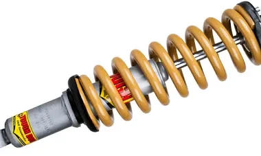 Strut & Coil Spring Assembly